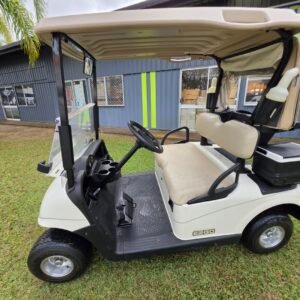 2010 ezgo rxv fleet