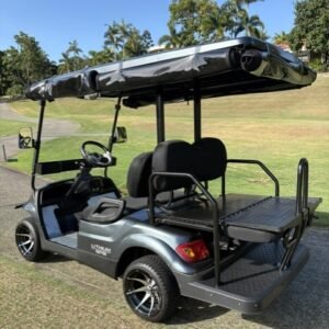 ecar 4 seater