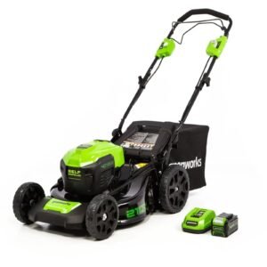 greenworks self propelled 21 inch brushless lawn mower 40v with 5ah battery and charger 3ddd1fab 7424 4309 bd28 b454bbb5fe66.c05e2f011ca7398a741973878bf737ad.jpg
