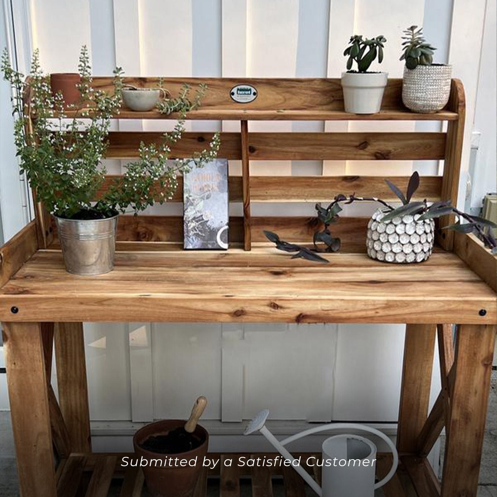 pottingtable 1 1.jpg pottingtable 1 1.jpg