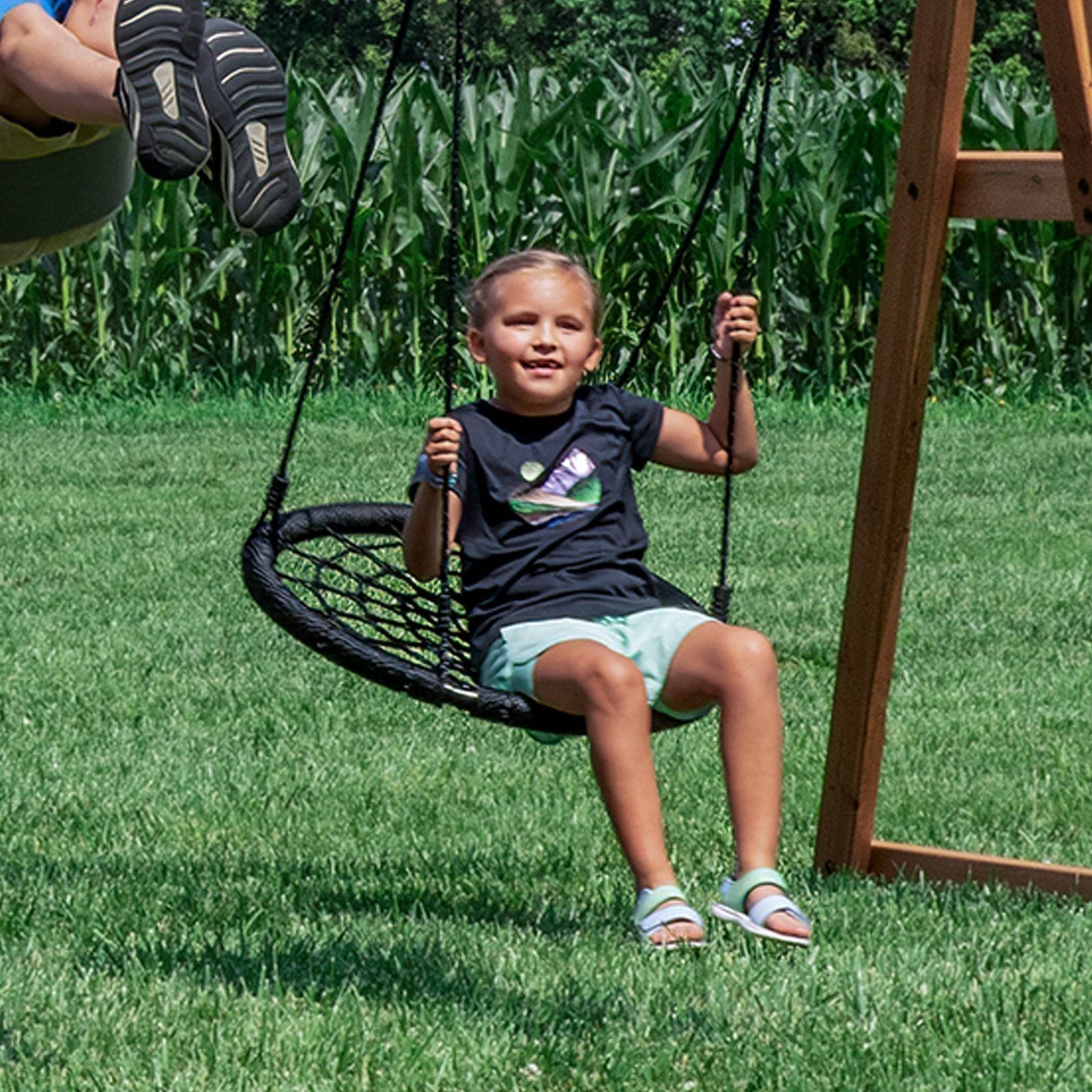 webswing.jpg webswing.jpg