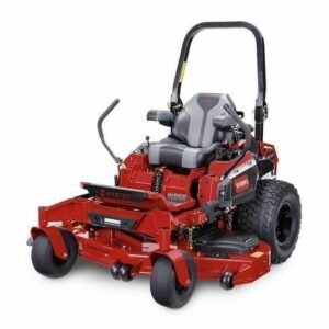 toro 1.jpg