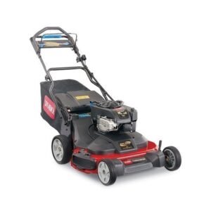 toro timemaster self propelled mower 21199 1.jpg